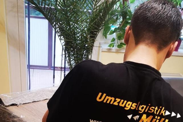 Laborumzug Elterlein stressfrei umziehen 